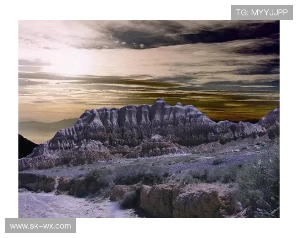 上海攀岩队探索边路渗透新战术提升竞技水平的深度分析 上海攀岩队探索边路渗透新战术提升竞技水平的深度分析