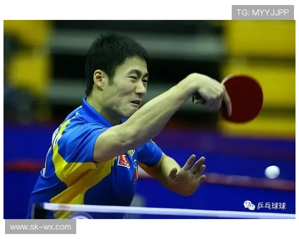 从零基础到高手之路乒乓球个人能力提升全方位指南 从零基础到高手之路乒乓球个人能力提升全方位指南