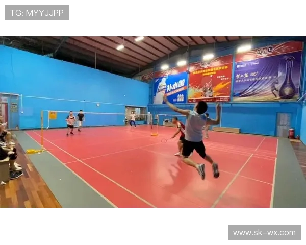 北京羽毛球队在挑战赛中的战术分析与表现评估