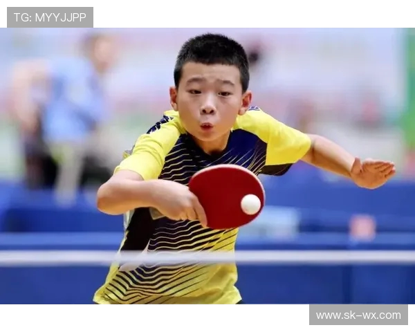 广州乒乓球队的整体压制现象及其对乒乓球发展的深远影响分析 广州乒乓球队的整体压制现象及其对乒乓球发展的深远影响分析