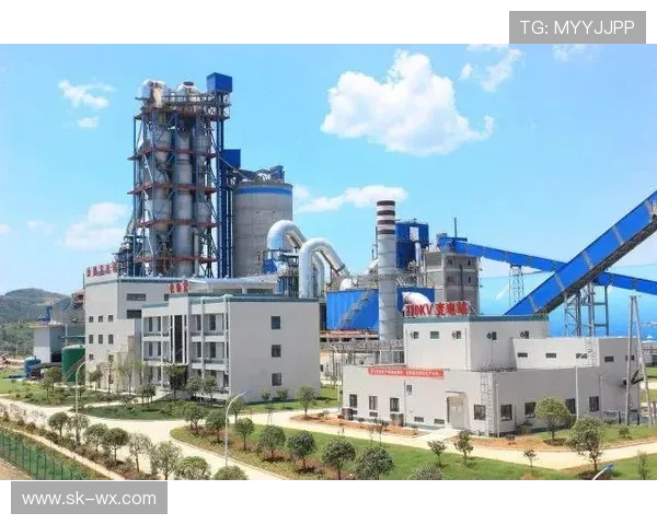 成都羽毛球队整体压制革新之路探索与发展全景分析