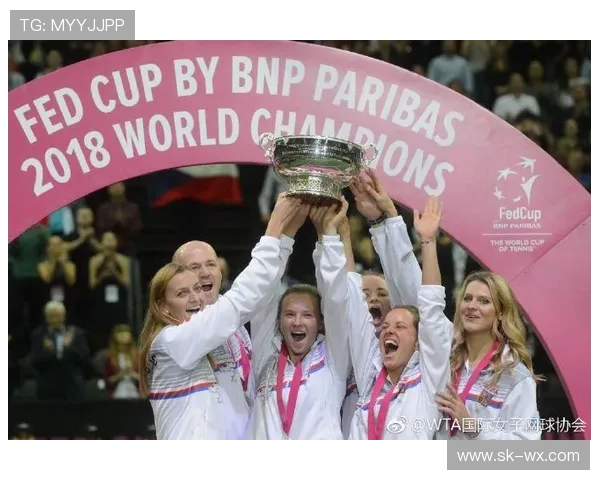 杭州网球队在联合会杯中的意识表现分析与点评