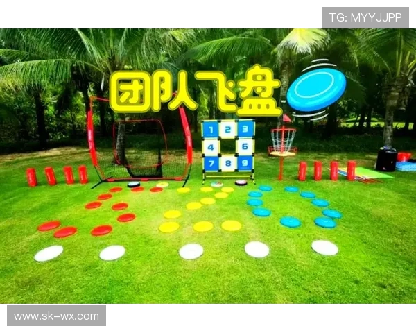 武汉飞盘队与杭州飞盘队耐力较量赛后分析与反思 武汉飞盘队与杭州飞盘队耐力较量赛后分析与反思