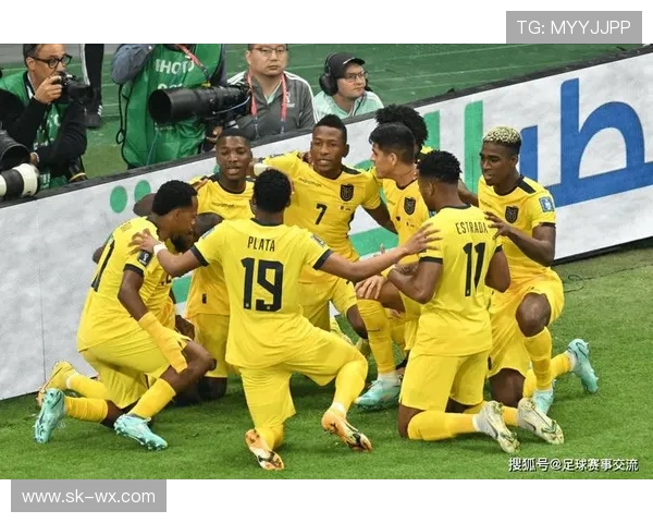 深圳足球队在世界杯中的团队协作表现分析与启示 深圳足球队在世界杯中的团队协作表现分析与启示