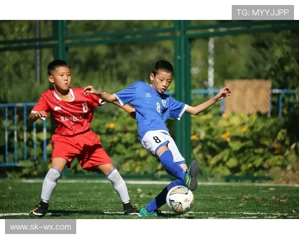 加克波的崛起之路：从青年才俊到国际赛场的闪耀明星