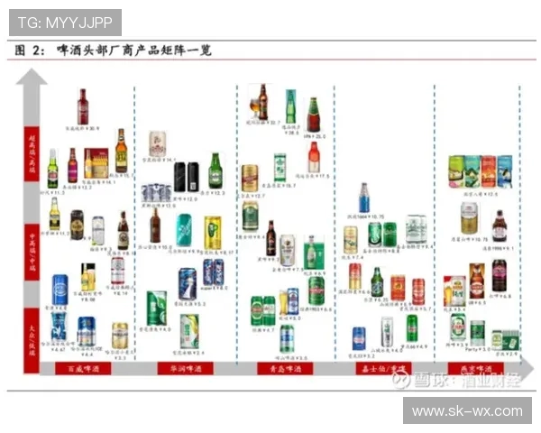 深圳街舞队的整体压制革新探索与未来发展路径分析