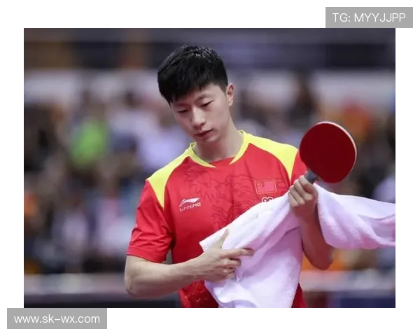 南京乒乓球队灵活性分析与训练策略探讨